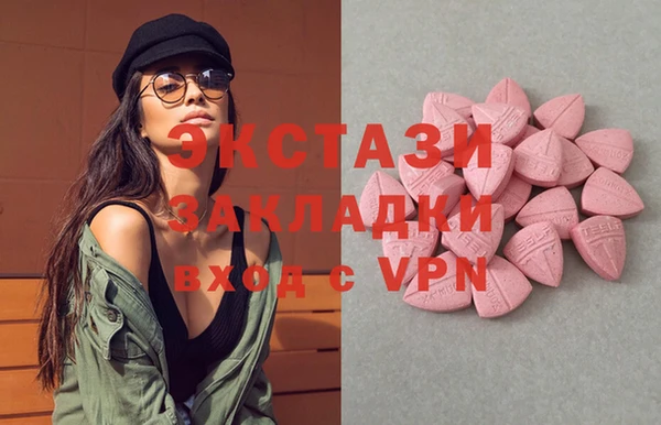 ECSTASY Богородицк